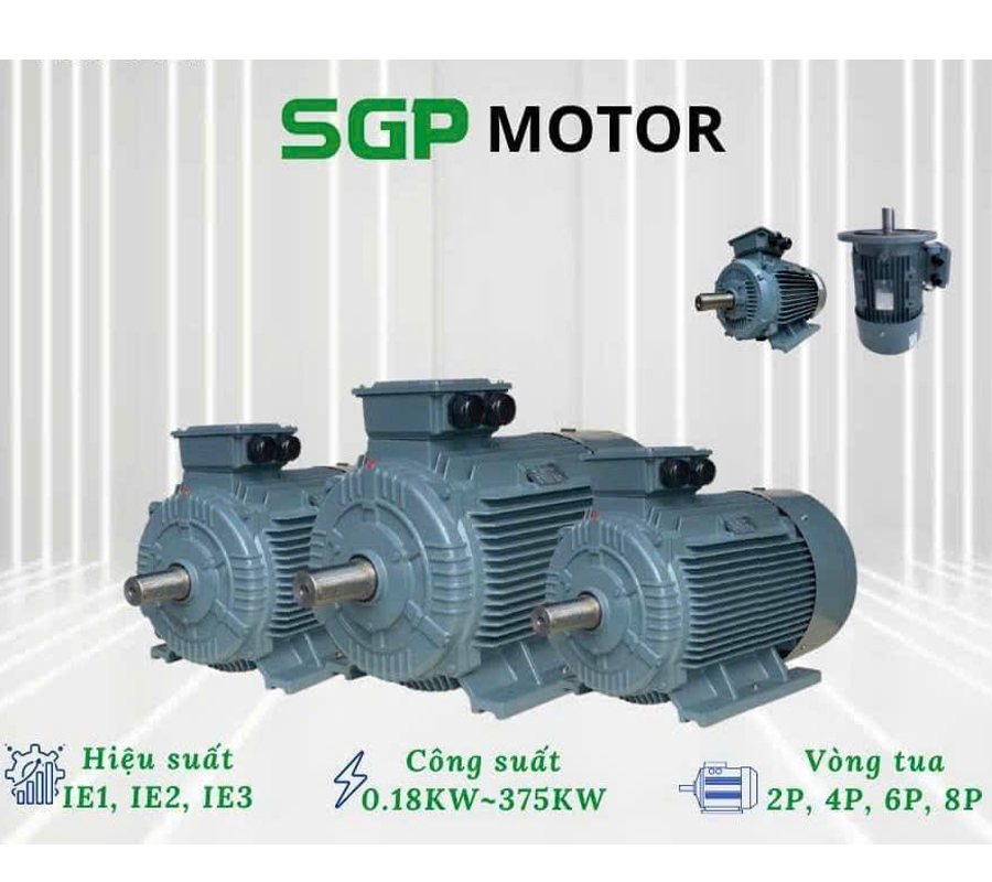 MOTOR SGP